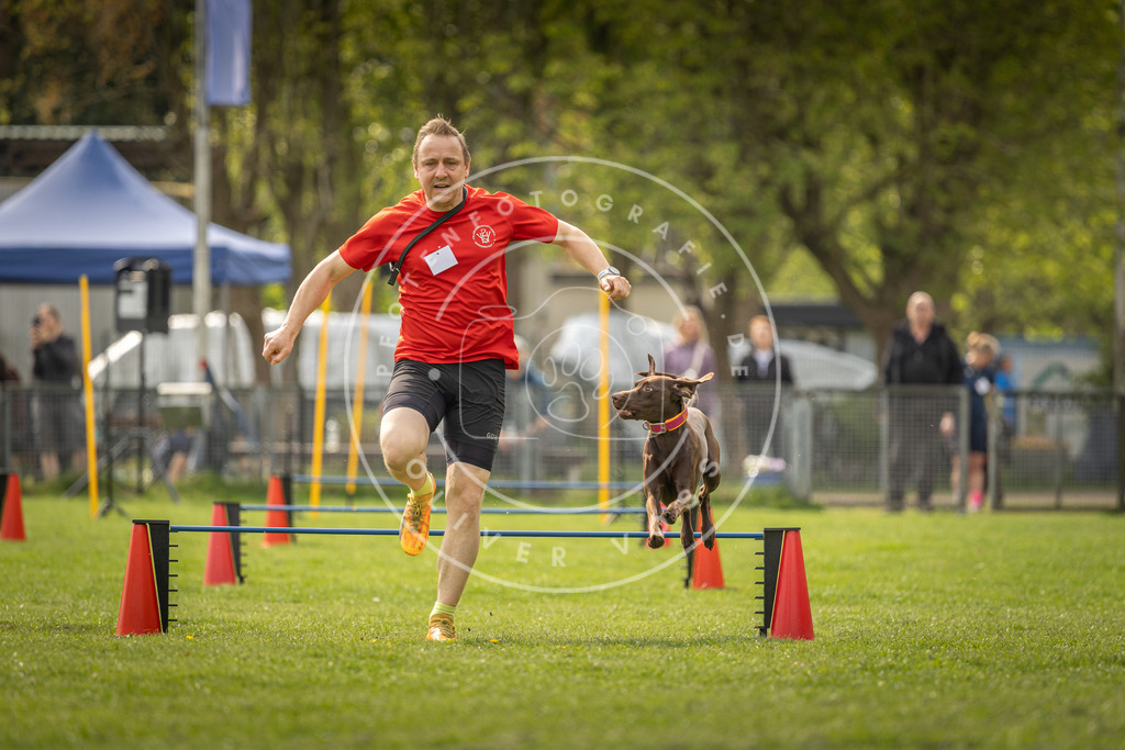 Pfotenfotografie_DV3A6007 | Hundefotografie, Tierfotograf, Pfotenfotografie, Fotoshooting Hund, Hunde Portrait, Hundesport, Hundeportraits, Heideshooting, Hunde, Sportfotograf, Hundefotograf, Turnierhundsport, THS,  - Realisiert mit Pictrs.com