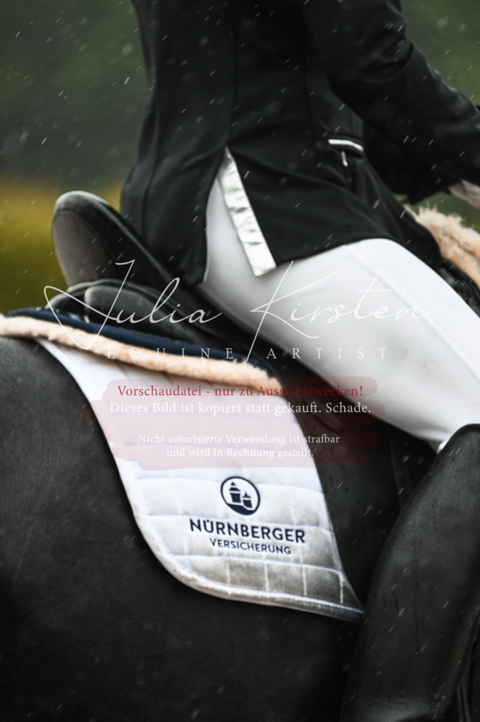 DSC_4710 | Pferde- und Turnierfotografie in Westsachsen. Pferdeportraits, Auftragszeichnungen und intuitive Kunst.