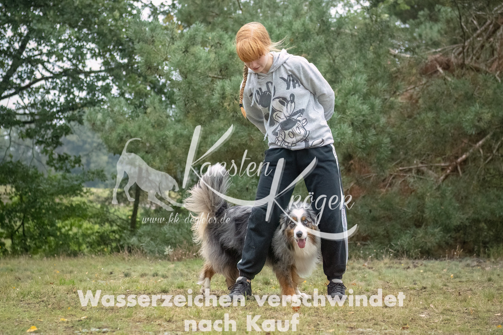 1247_ZZ91700-2-Bearbeitet | kk-dogfotos