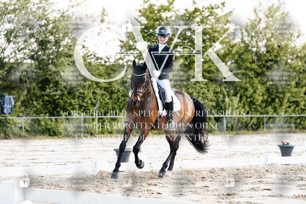 CK909563 | Turnierfotografie Pferdefotografie Trier Rheinland-Pfalz Pferdesport Reitsport Tierfotografie Sportfotografie Pferdevideo Pferdevideografie Equestrianvideography equestrianphotography  - Realisiert mit Pictrs.com