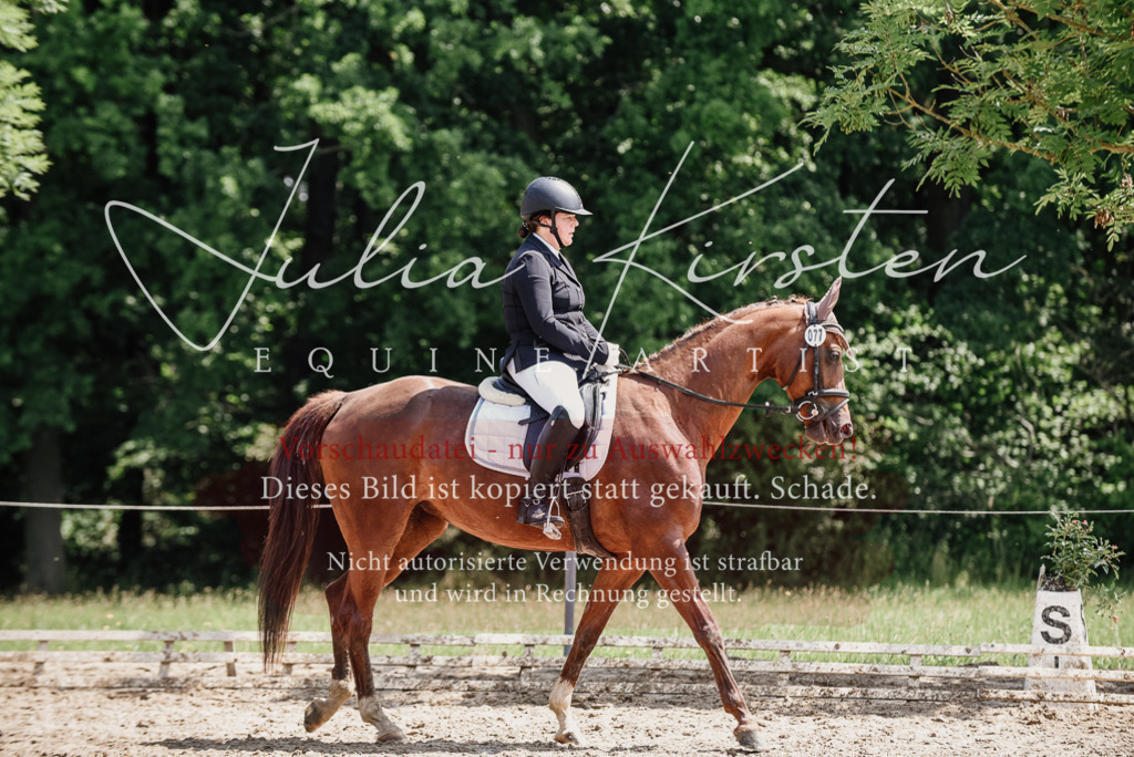 DSC_1291 | Pferde- und Turnierfotografie in Westsachsen. Pferdeportraits, Auftragszeichnungen und intuitive Kunst.