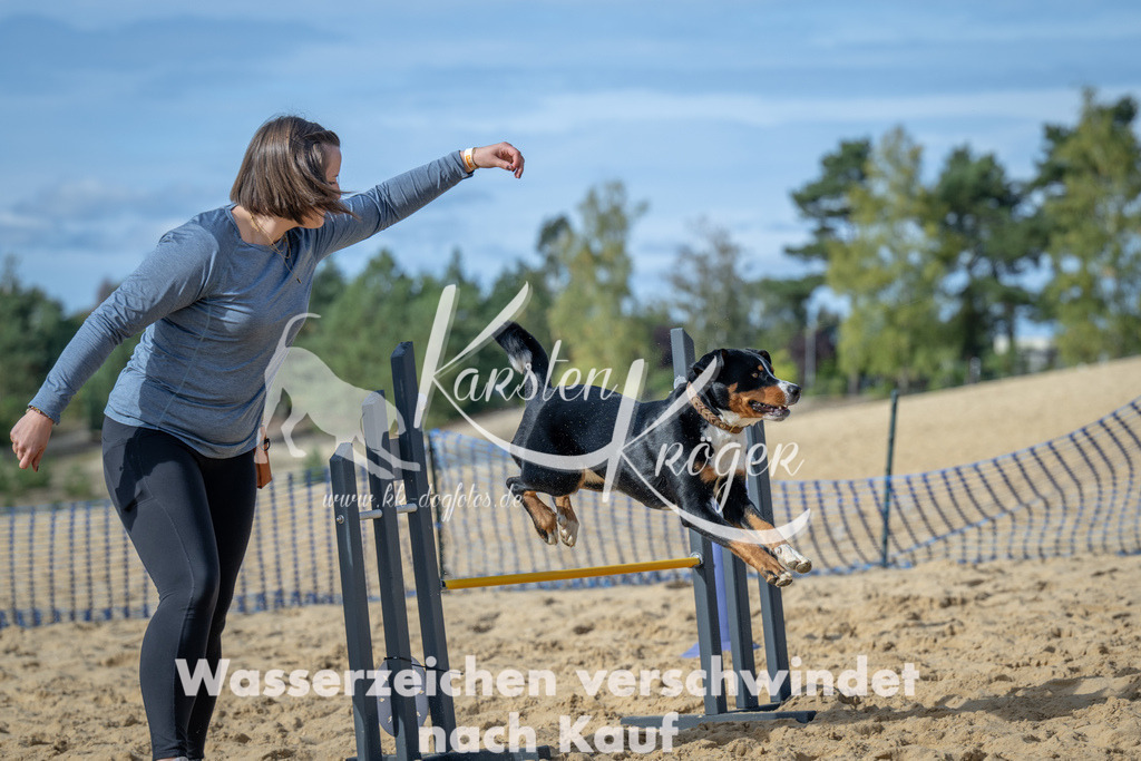 1440_ZZ91879 | kk-dogfotos