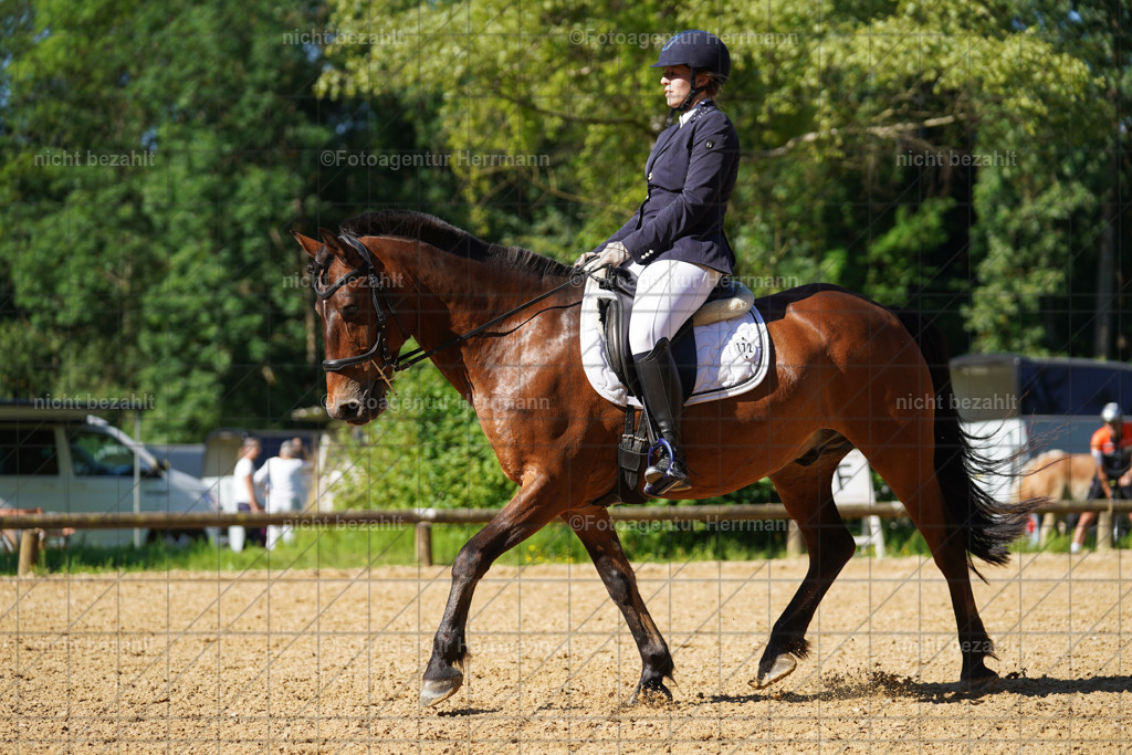 20240706-FAH04549 | Grafing Turnierfotos, Reitverein Ebersberg, Turnierfotografen Bayern, reitsportbilder, Pferdefotograf, reitsportfotograf, Sportbilder, Reitsportfotografie, Fotoagentur Herrmann, Turnierfotograf