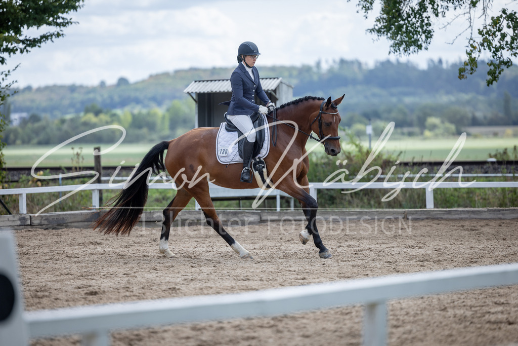20260905-_3LI8123 | Tierfotografie Pferde, Hunde, Katzen, Haustiere.
Turnierfotografie Reitturniere, Reiten, Springreiten, Dressur in Hanau, dem Main-Kinzig-Kreis und dem Rhein-Main- Gebiet um Frankfurt