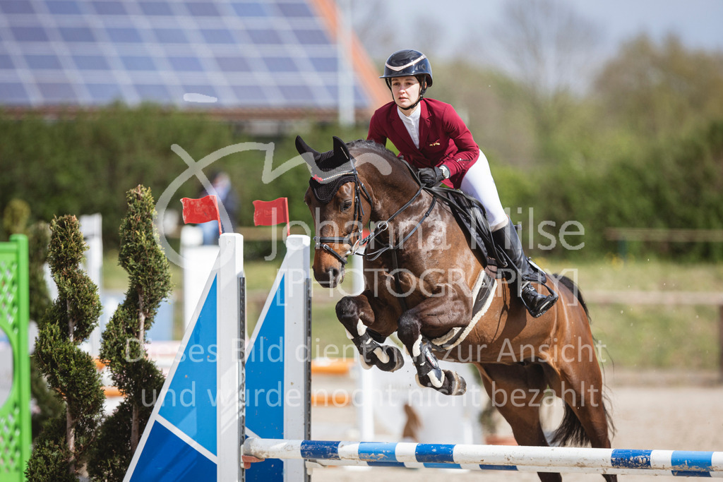 250419_Frühlingsfest_A-Stil1-480 | Deine schönsten Turniermomente als professionelle Fotos! Entdecke hochwertige Pferdesport-Fotografie im Online-Shop. Jetzt Fotos finden & bestellen!