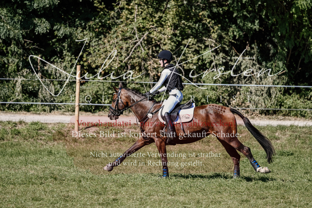 DSC_2755 | Pferde- und Turnierfotografie in Westsachsen. Pferdeportraits, Auftragszeichnungen und intuitive Kunst.