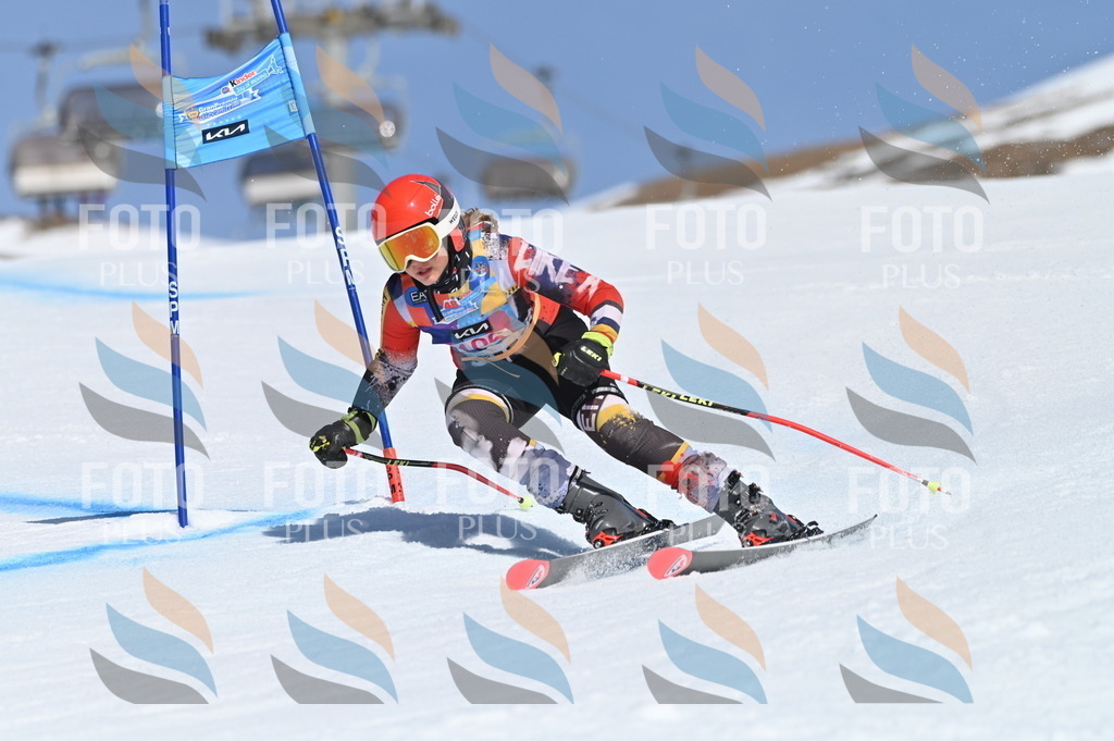 BGV_9568 | holidayphoto