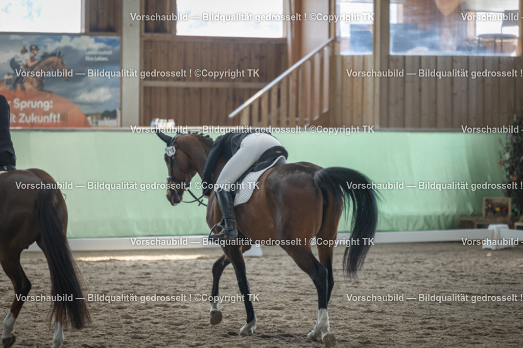 _D5A8457 | Emotionale Pferde- & People-Fotografie rund um Heidelberg, Leimen & Umgebung. Natürliche Fotos von Pferd, Mensch & Familie. Jetzt Termin sichern!