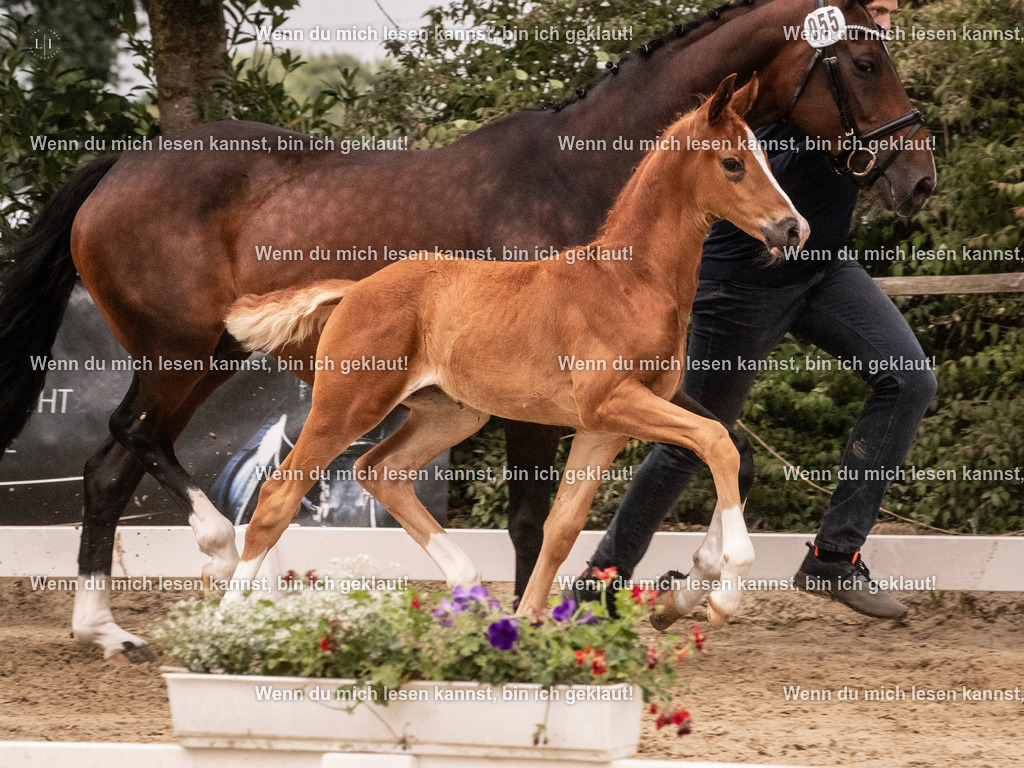 A10I5566 | photographylinaismer - Realisiert mit Pictrs.com