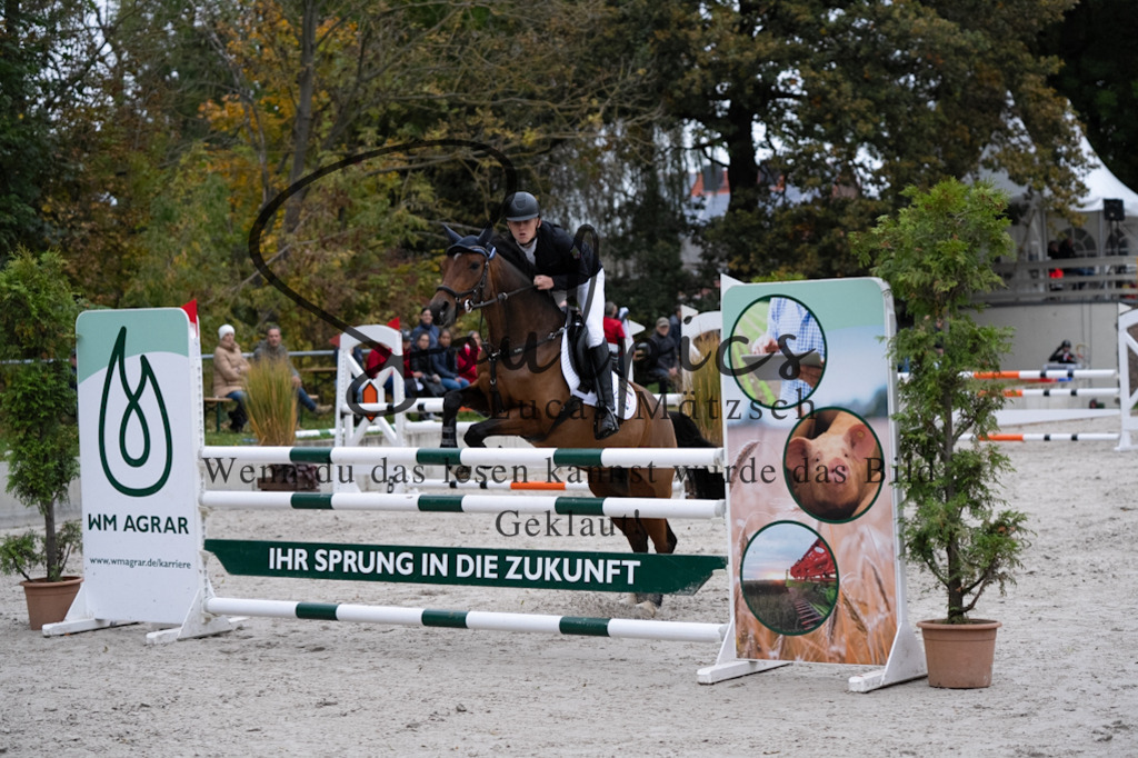 A7V08765 | Pferdefotograf