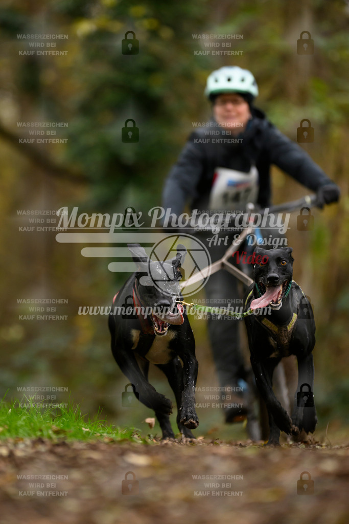 MompixPhotography_Bischwiller24_SA_VTT2-1 | PayLife