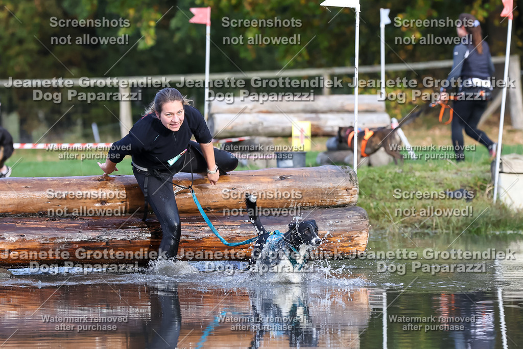 Dog Paparazzi - Strongdog 10-25-8240 | Dog Paparazzi Jeanette Grottendiek Fotografie & Videografie - Realisiert mit Pictrs.com