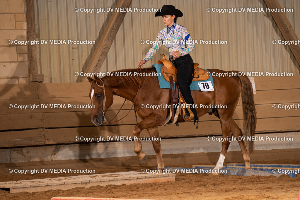 NID00575 | dv-media-shop - Realisiert mit Pictrs.com