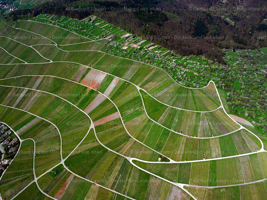 2506099 | Weinberge bei Großheppach