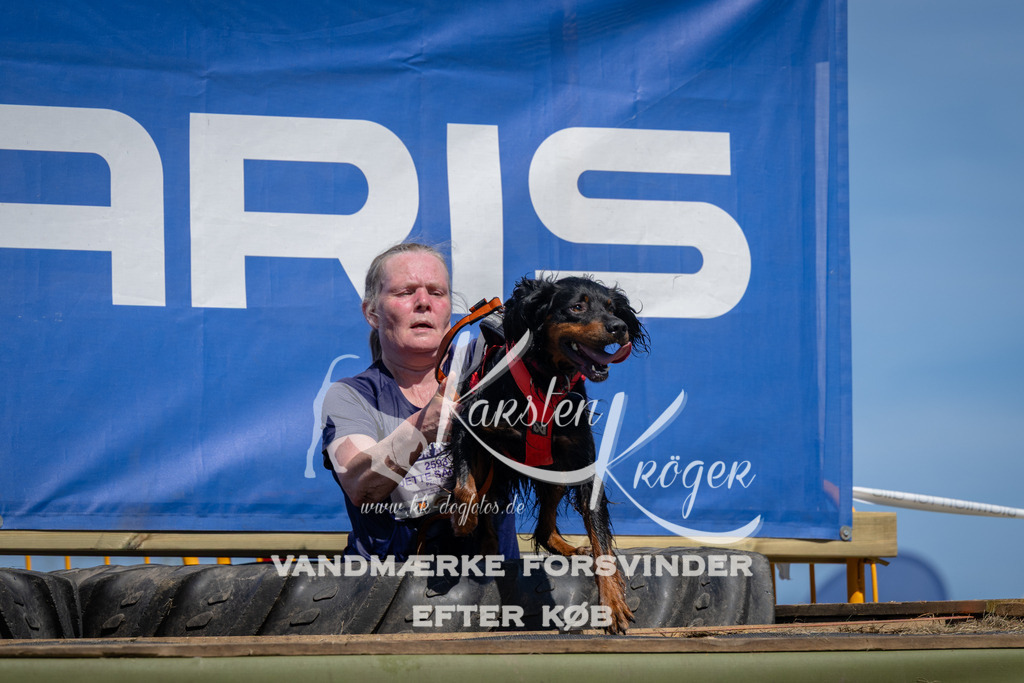 1330_ZZ98910 | kk-dogfotos