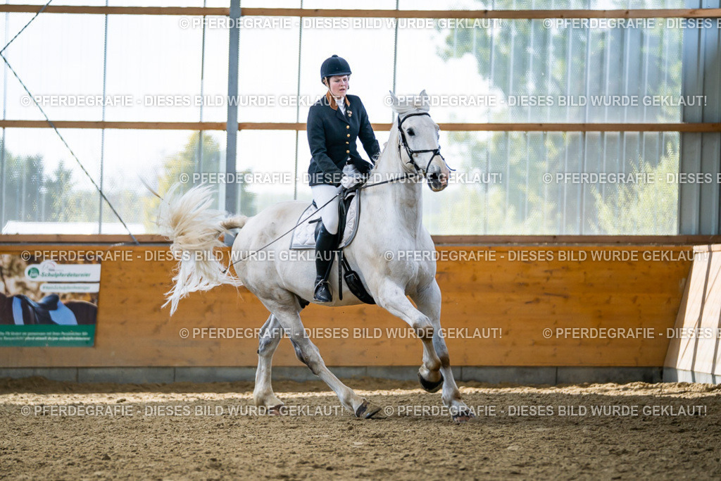 DSC05734 | Pferdegrafie