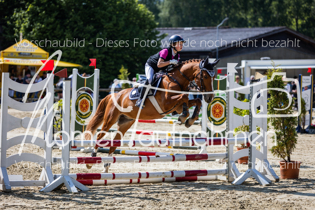 Donop24-ESpr-089 | MomenTaufnahmen Pferdesportfotos