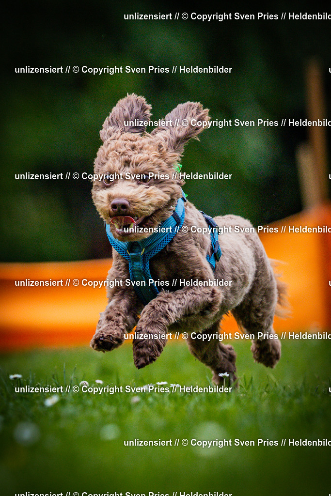 Sven Pries | 2025-05-29 - Pudelrennen KA-Durlach - Realisiert mit Pictrs.com