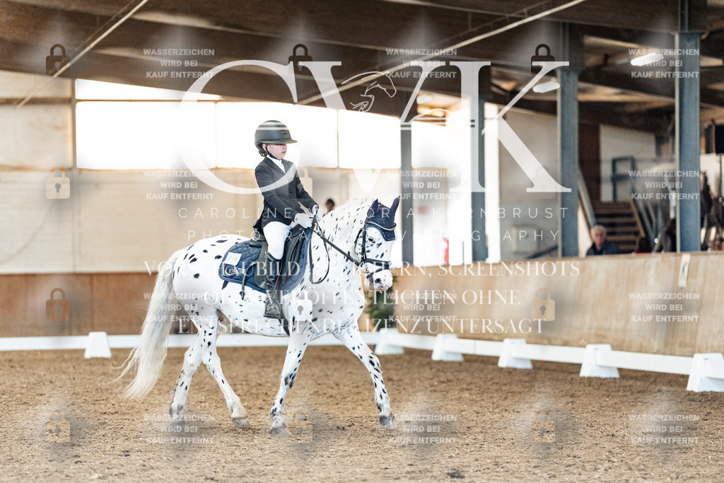 CK908951 | Turnierfotografie Pferdefotografie Trier Rheinland-Pfalz Pferdesport Reitsport Tierfotografie Sportfotografie Pferdevideo Pferdevideografie Equestrianvideography equestrianphotography  - Realisiert mit Pictrs.com