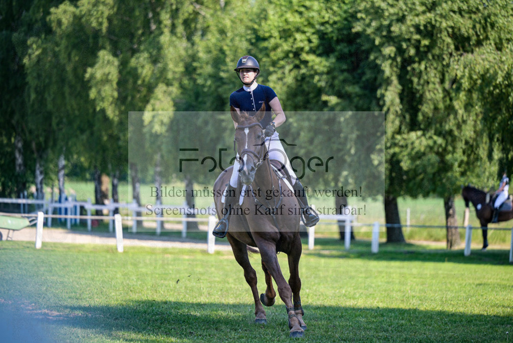 Reitturnier Voxtrup | Entdecke hochwertige Reitturnierfotos von Foto Oger. Professionell, emotional und authentisch – jetzt Lieblingsmomente im Shop bestellen. - Realisiert mit Pictrs.com