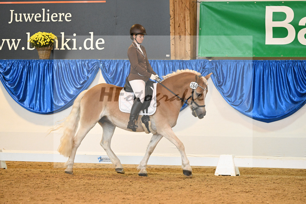 Kat-Nr. 264 Eloisa_Wolf_54222054 | hf-fotografie - Realisiert mit Pictrs.com