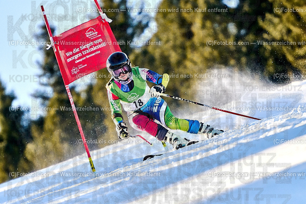_ALP3858_FIS-Masters-GS-II_Glungezer_Muellner Nicole | FIS-MASTERS-WorldCup am Glungezer, GiantSlalom-II, So 18. Jänner 2026.