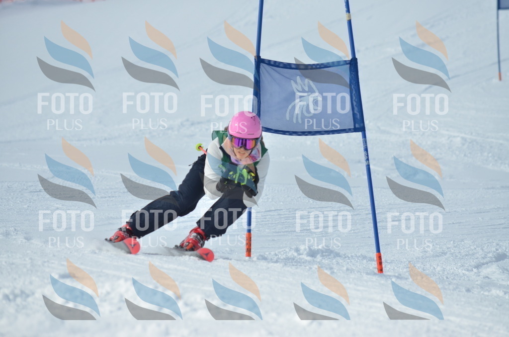 D8893 | holidayphoto