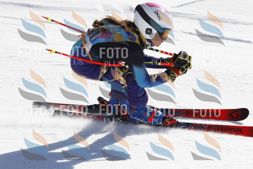 _U3G8679 | holidayphoto