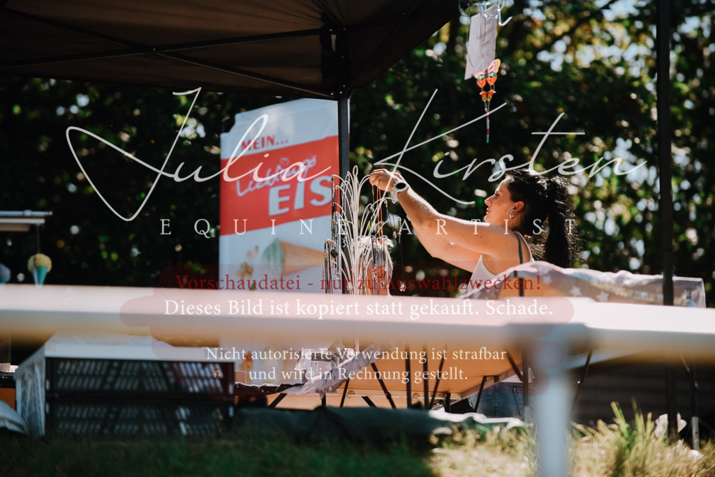 DSC_3012 | Pferde- und Turnierfotografie in Westsachsen. Pferdeportraits, Auftragszeichnungen und intuitive Kunst.