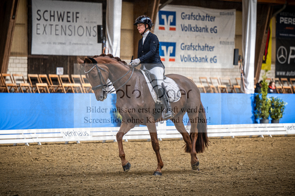 DOS_0611 | Entdecke hochwertige Reitturnierfotos von Foto Oger. Professionell, emotional und authentisch – jetzt Lieblingsmomente im Shop bestellen.Deutschlandweite Turnierfotografie. - Realisiert mit Pictrs.com