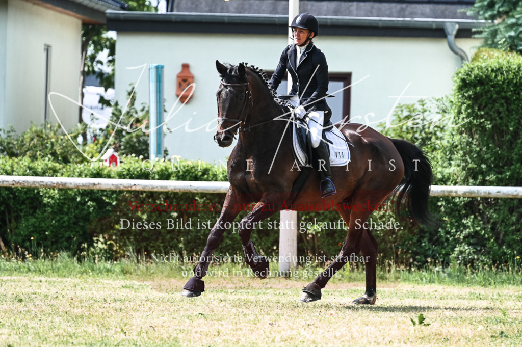 DSC_8876 | Pferde- und Turnierfotografie in Westsachsen. Pferdeportraits, Auftragszeichnungen und intuitive Kunst.