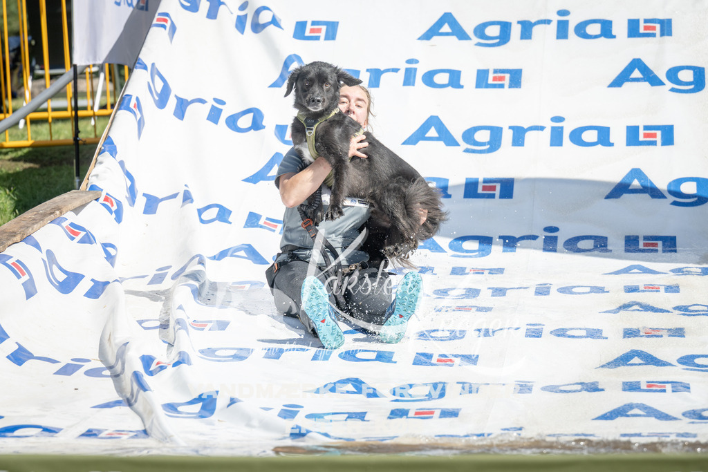 1208_ZZ94935 | kk-dogfotos