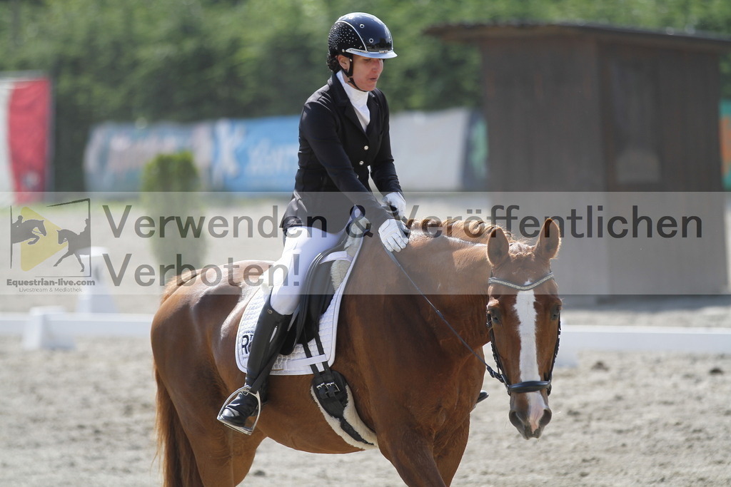 _MG_2051 | equestrian-live-com
