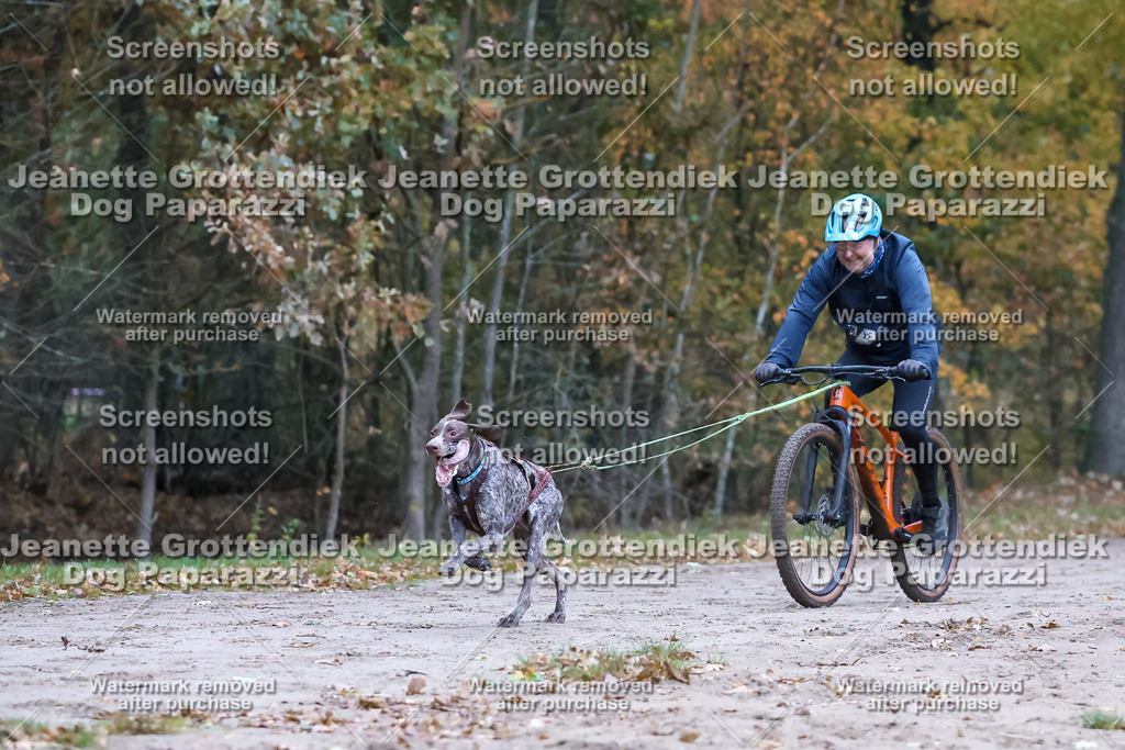 Dog Paparazzi - SD CaniX Championship 2025-36 | Dog Paparazzi Jeanette Grottendiek Fotografie & Videografie - Realisiert mit Pictrs.com