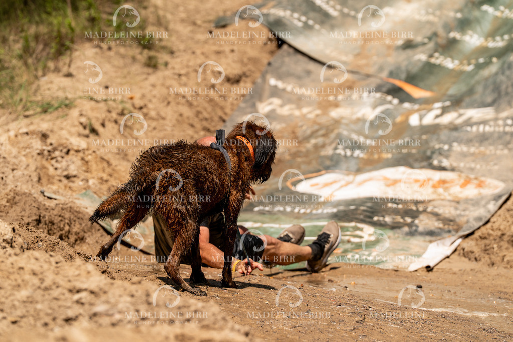 madeleinebirr.fotografie.2026.CC-hoope.14-13-47.2019 | hundefotografie-birr