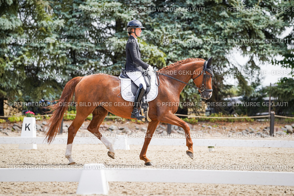 DSC00059 | Pferdegrafie