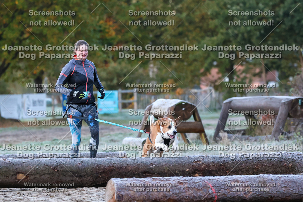 Dog Paparazzi - Strongdog 10-25-73 | Dog Paparazzi Jeanette Grottendiek Fotografie & Videografie - Realisiert mit Pictrs.com