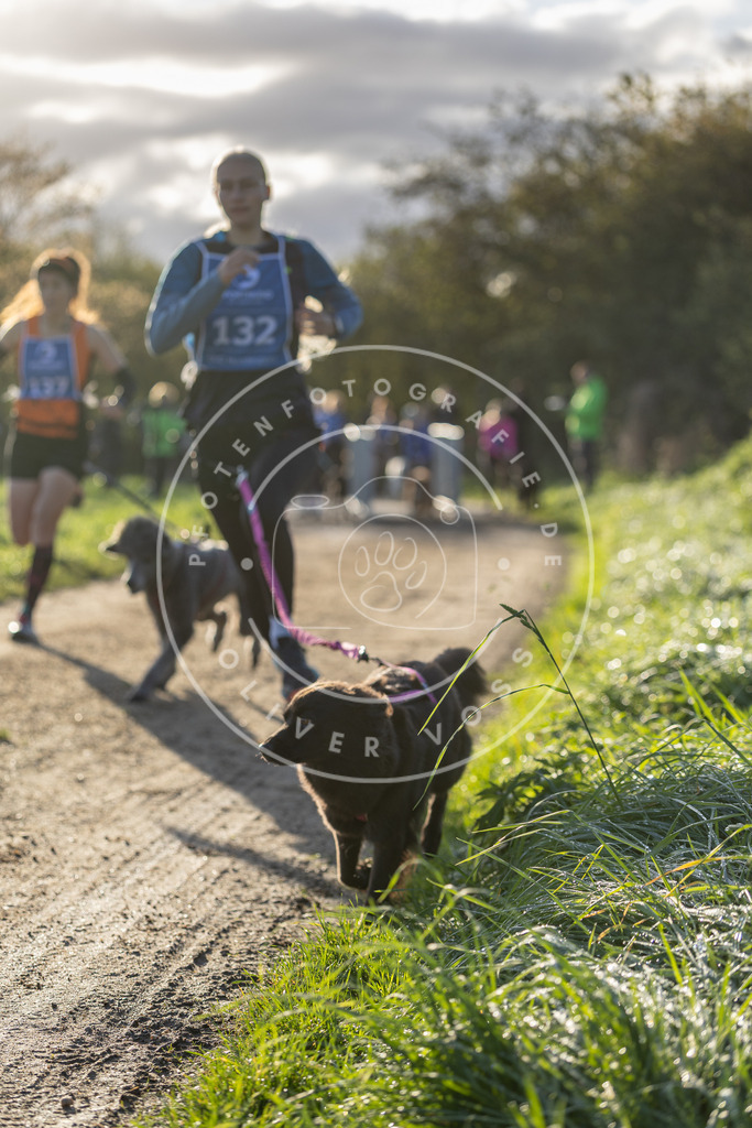 Pfotenfotografie.de_DV3A2890 | Hundefotografie, Tierfotograf, Pfotenfotografie, Fotoshooting Hund, Hunde Portrait, Hundesport, Hundeportraits, Heideshooting, Hunde, Sportfotograf, Hundefotograf, Turnierhundsport, THS, canicross - Realisiert mit Pictrs.com