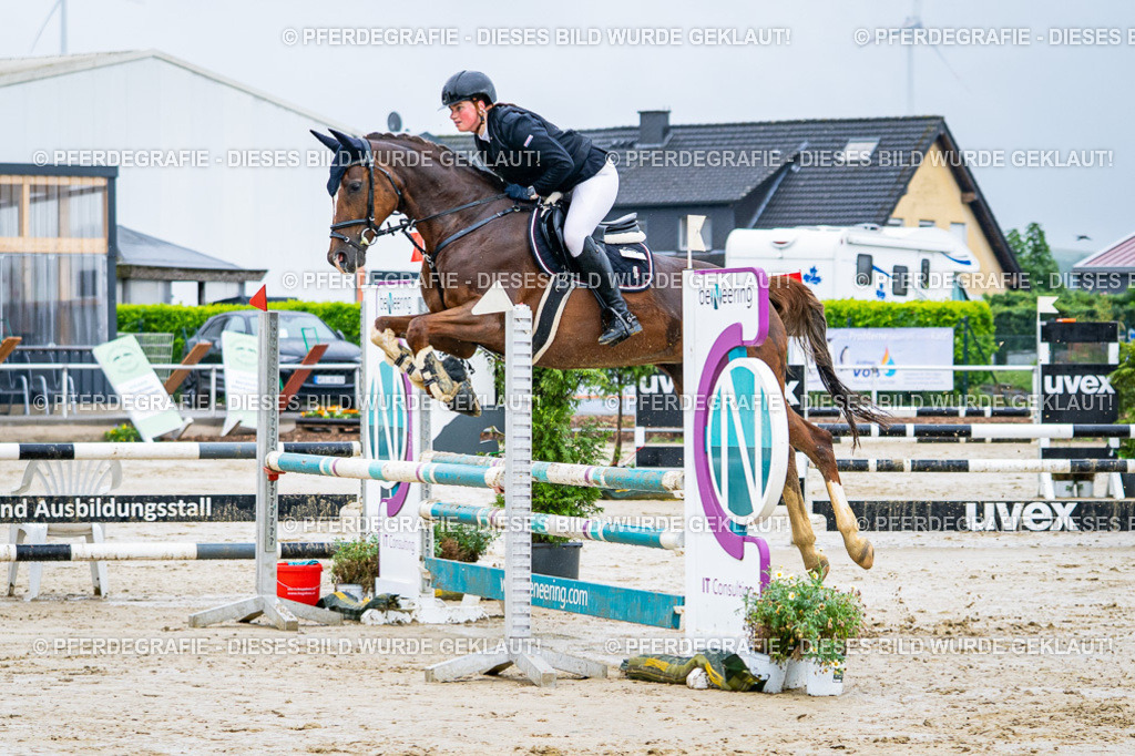 DSC03145 | Pferdegrafie