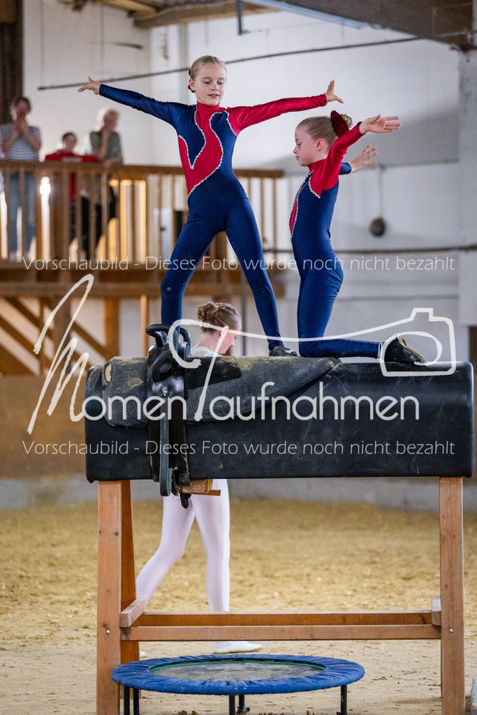 Holzpferd-090 | MomenTaufnahmen Pferdesportfotos