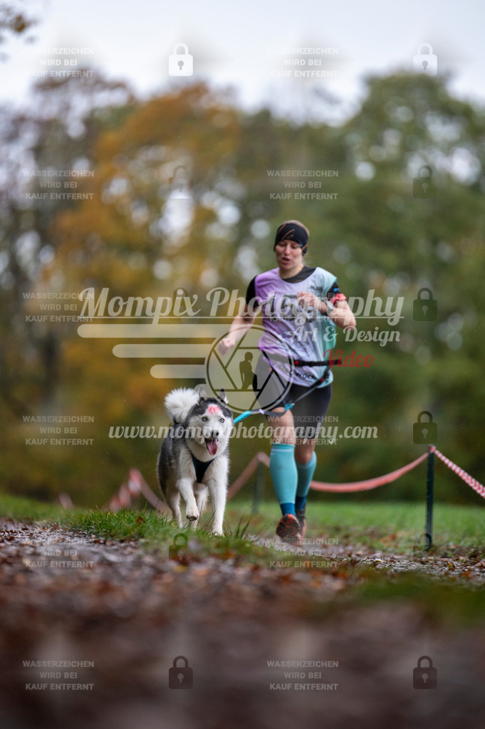 DBT_DAKM_SA_4_11_2023_Canicross-112 | PayLife