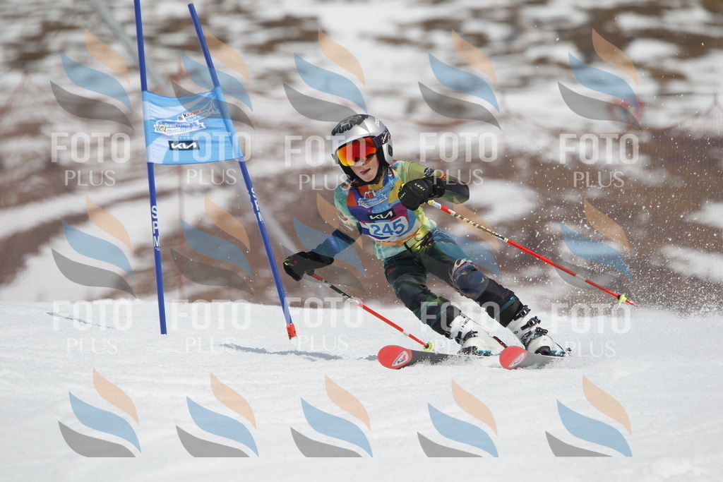 _U3G2783 | holidayphoto