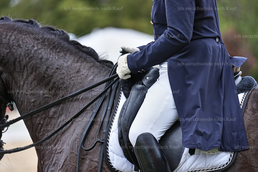 11-058-Dressur S___-Marixx-1492 | working equitationturnier fotograf videograf stoibphotography marixx film working equitation deutschland reitsport turnierfotografie eventfotografie equestrian events