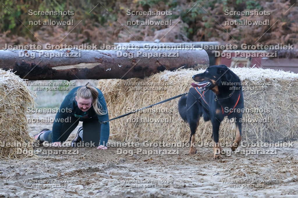 Dog Paparazzi - Strongdog 10-25-198 | Dog Paparazzi Jeanette Grottendiek Fotografie & Videografie - Realisiert mit Pictrs.com