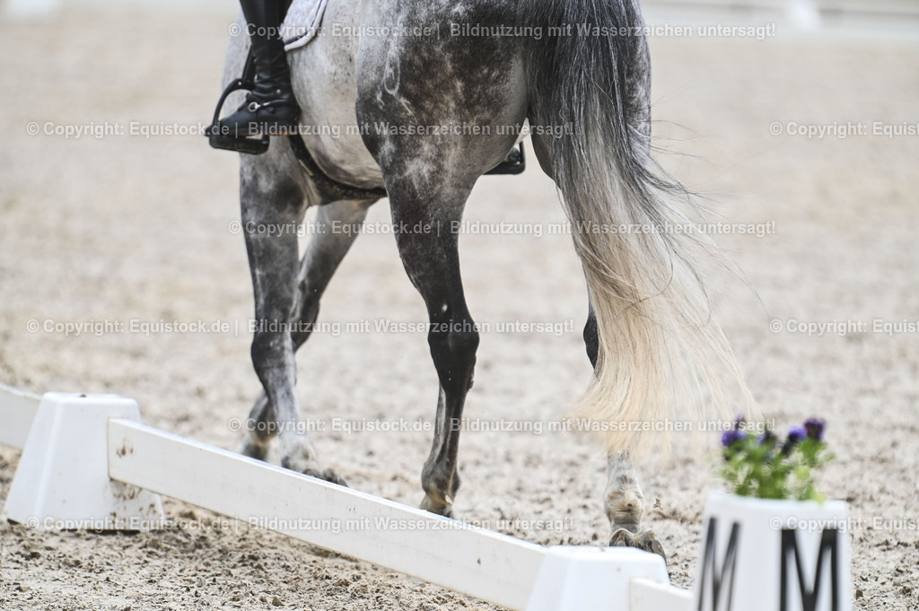 20230512_Impression_0002 | equistock