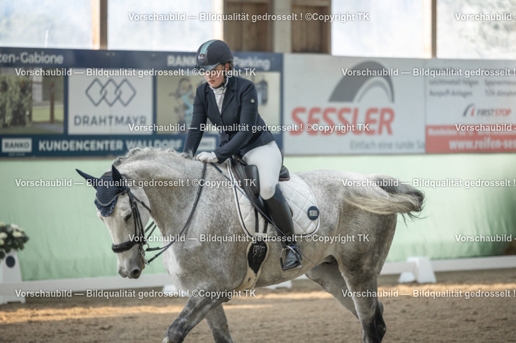 _D5A4250 | Emotionale Pferde- & People-Fotografie rund um Heidelberg, Leimen & Umgebung. Natürliche Fotos von Pferd, Mensch & Familie. Jetzt Termin sichern!