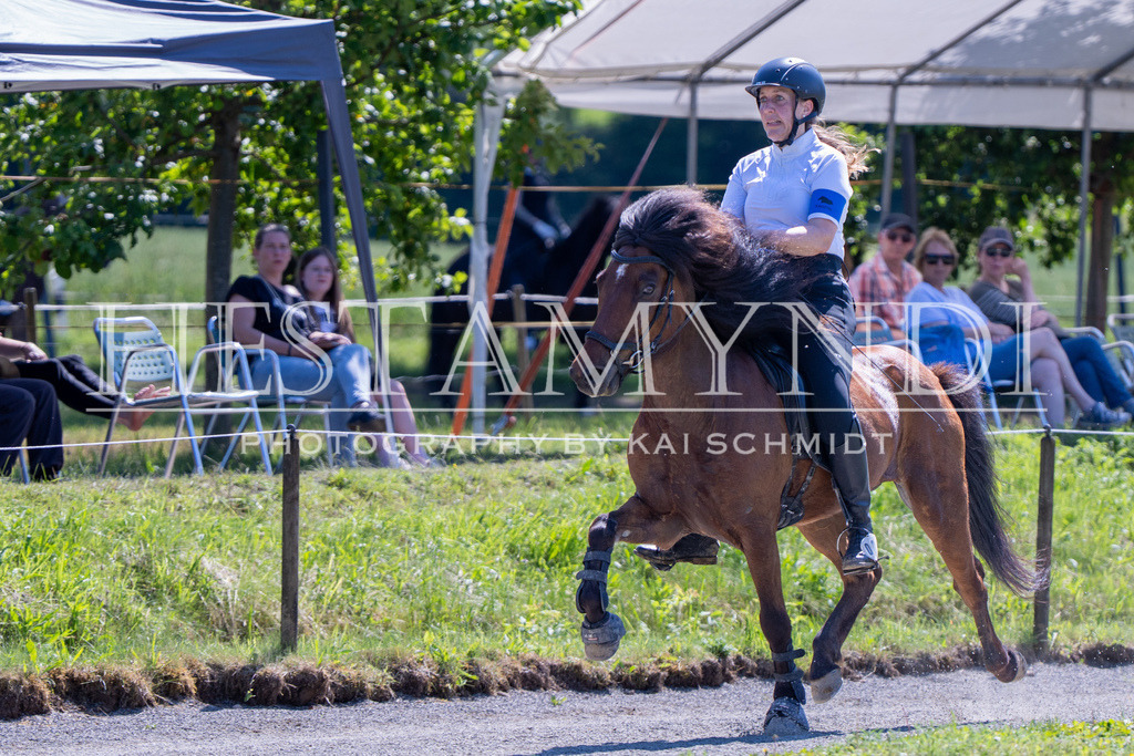 KAI00066 | Ihr sucht einen Fotografen für eure nächste OSI? Ich begleite auch euer Turnier für Islandpferde fotografisch.  - Realisiert mit Pictrs.com