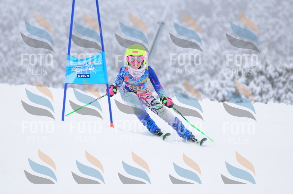 C3440 | holidayphoto