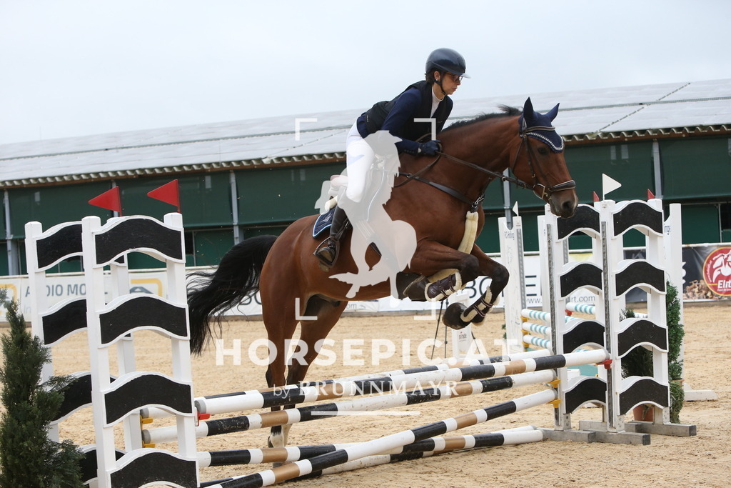 DL2Q0105 | Willkommen bei Brunnmayr - Design & Fotografie – Ihrem Spezialisten für Reitturniere und Pferdeveranstaltungen in Oberösterreich, Salzburg und Bayern! Seit über 17 Jahren sind wir leidenschaftlich dabei.