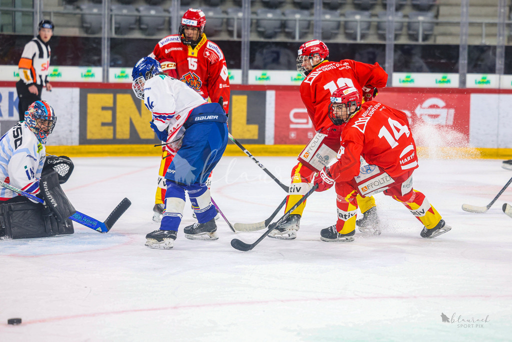 U18_EHCB vs EHCK_wb20260308-0855 | Sportbilder, Sportfotograf, Hochzeits- und Eventfotografin, Flugshows, Portraits und Tiershooting, Aviation, Downhill, Nationalleague, Swissleague, International